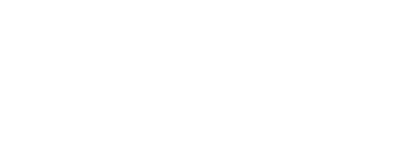 Logo REDFOX
